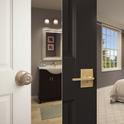 door-knob-vs-lever