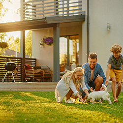 smiling-family-plays-with-dog-in-front-yard-250