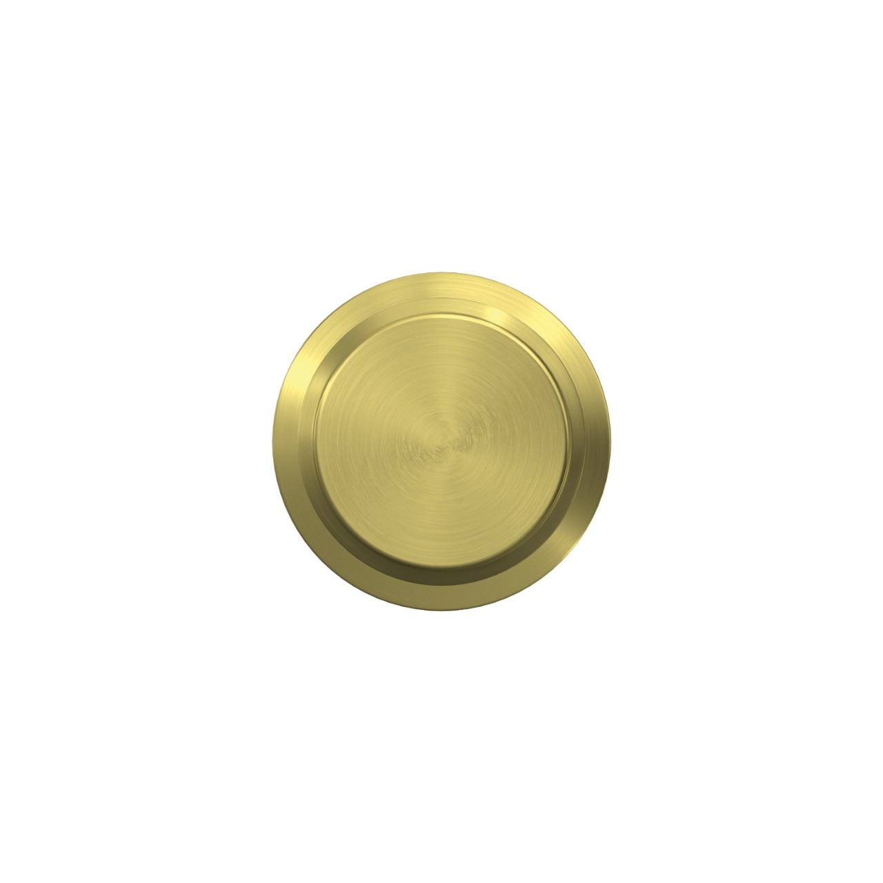Custom Bowery Non-Turning Knob