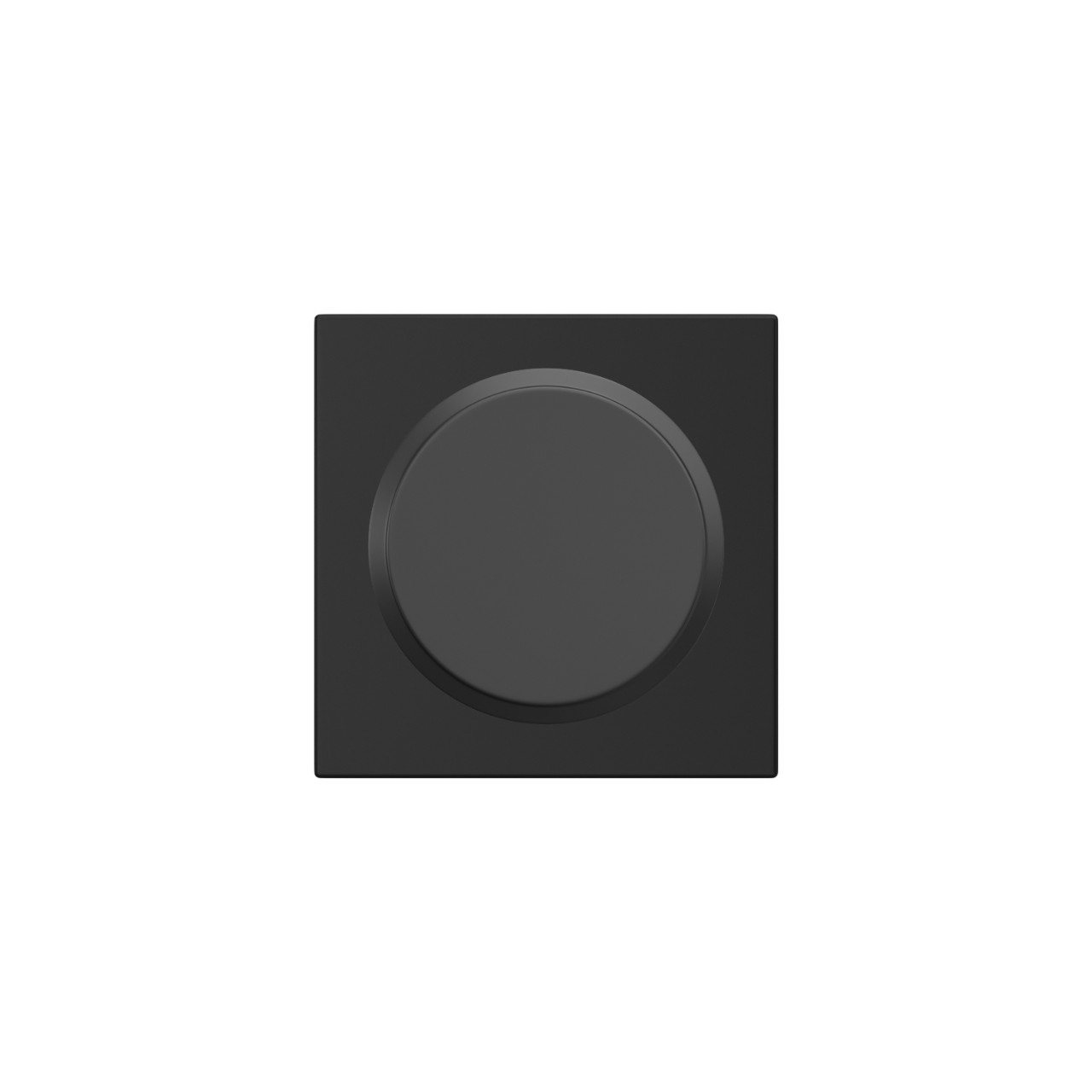 Custom Swanson Non-Turning Knob